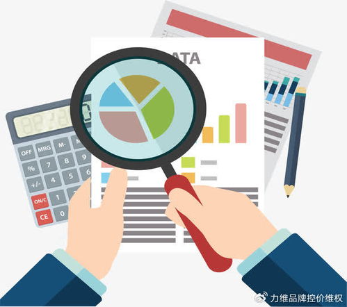 專業電商數據分析服務賦能品牌破局